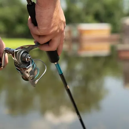 Village Toue Du Domaine Des Demoiselles Tekne Chassenard