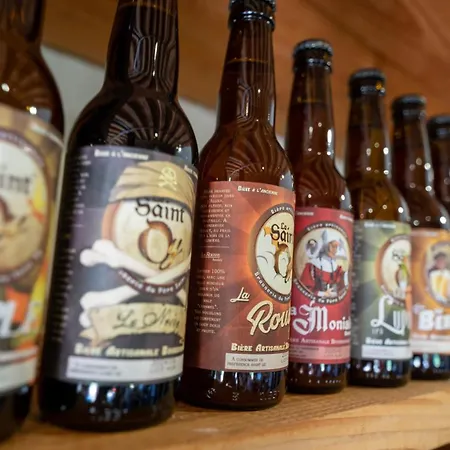 Village Toue Du Domaine Des Demoiselles * Chassenard