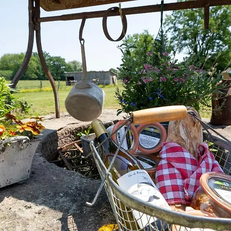 Village Toue Du Domaine Des Demoiselles Tekne Chassenard
