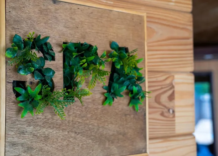 Village Toue Du Domaine Des Demoiselles * Chassenard